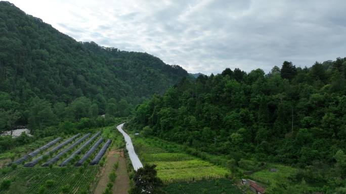 西安周至老县城 秦岭黑河森林公园 航拍