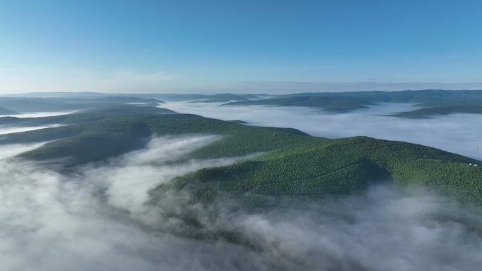 航拍黎明青山森林云海