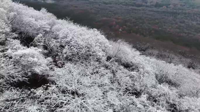 南京紫金山名胜雪景航拍