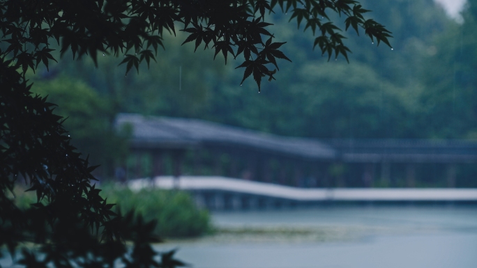 杭州西湖浴鹄湾意境雨天合集