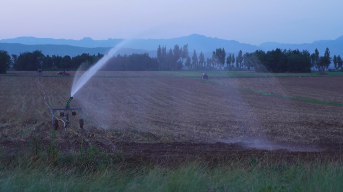 傍晚时分农田灌溉的场景
