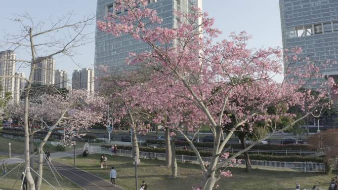 中国广东省广州市海珠区琶洲会展中心