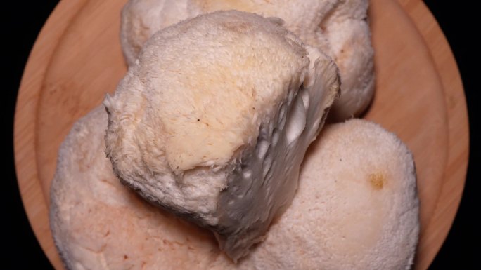 猴头菇珍稀蘑菇 (3)