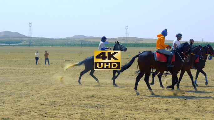 草原赛马骑马活动比赛