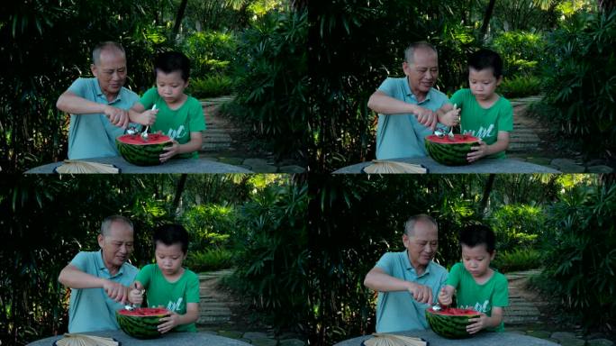 炎热夏天树下乘凉 老爷爷和孙子一起吃西瓜