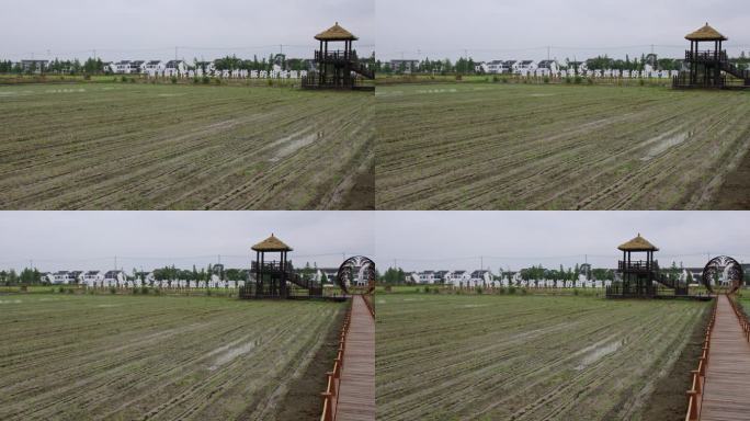 苏州望亭稻香小镇风光