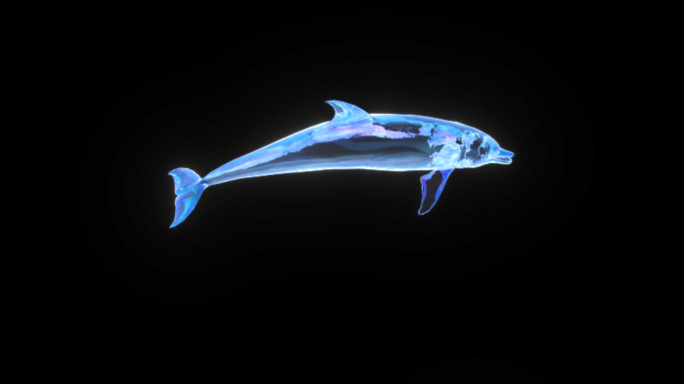 蓝色透明玻璃质感海豚跳跃