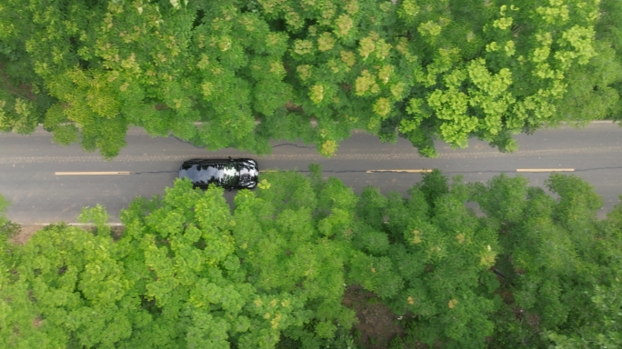 【4K】特斯拉行驶在乡村道路