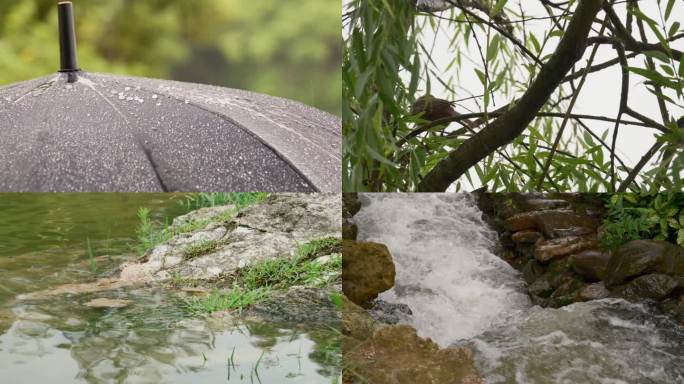 雨水滴清凉夏天自然绿植人与自然动物和谐