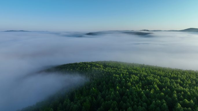 航拍辽阔青山森林云海