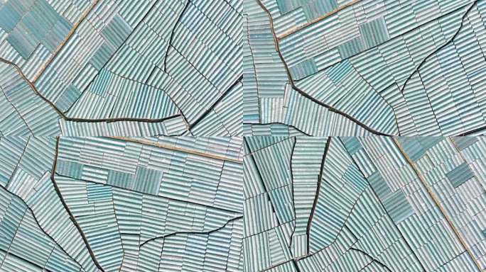 航拍福建农业种植基地