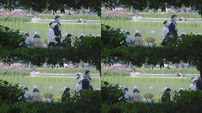 情侣 逛公园 散步湖边 看风景的人 背影