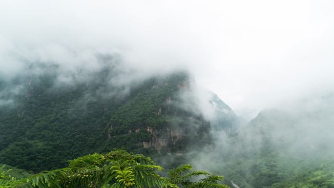 龙开口 云山4k