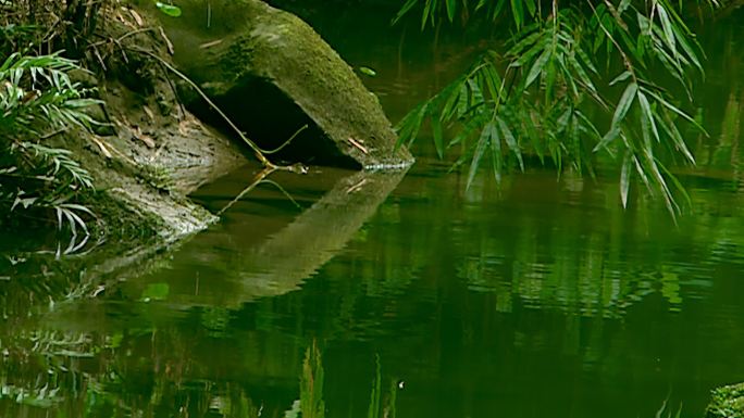 小溪 小桥 流水 风光