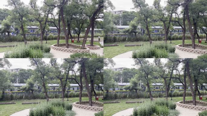 公园里的火车