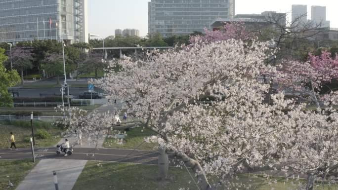 中国广东省广州市海珠区琶洲会展中心