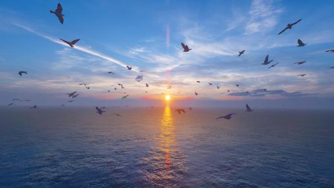 海鸥群在辽阔的海面自由翱翔慢动作