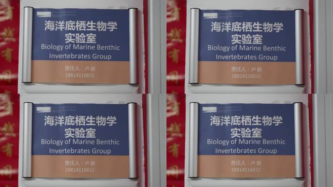 大学海洋生物研究 实验室 专家 科研