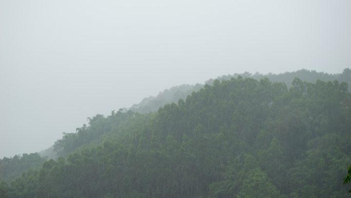 下雨下暴雨雷雨台风雨