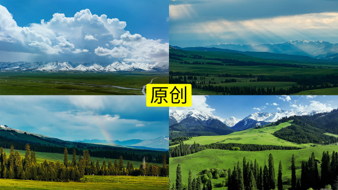 新疆伊犁草原雪山风景4K高清实拍