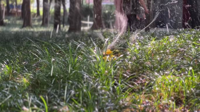 喷淋系统浇灌花草城市公园花草养喷淋喷灌