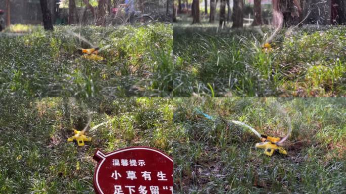 喷淋系统浇灌花草城市公园花草养喷淋喷灌