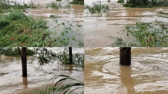 洪涝灾害昏黄浑浊汛期水位上涨水灾水浸水患