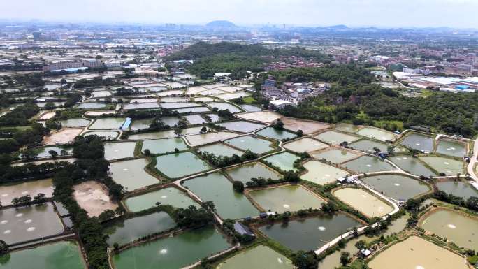 大好山川 绿色航拍 湖泊