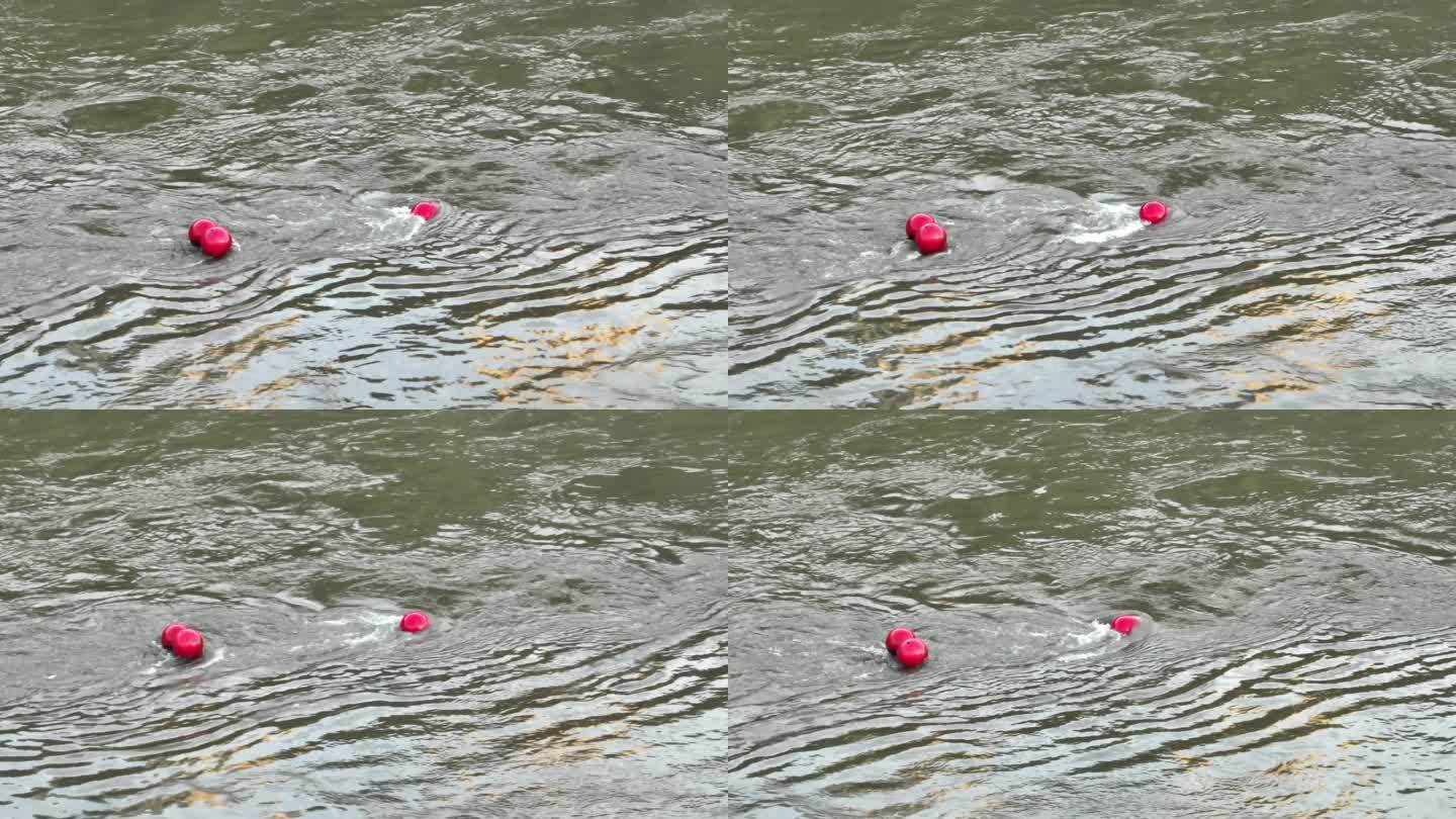 水面警示用红色浮球4k50p