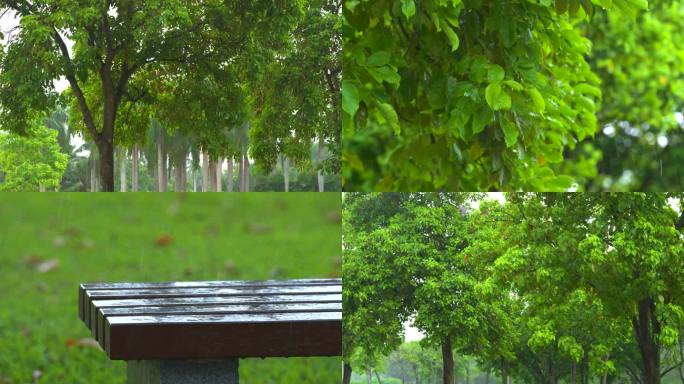 园林雨景-慢镜头