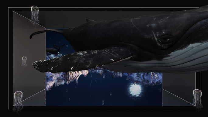 鲸鱼裸眼3D 鲸鱼与雪山