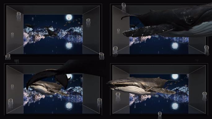鲸鱼裸眼3D 鲸鱼与雪山