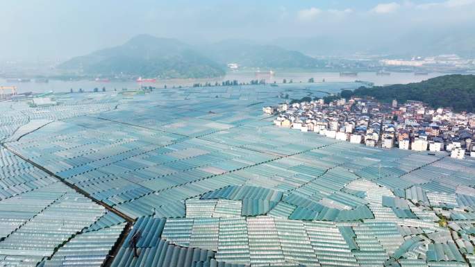 航拍福建农业种植基地