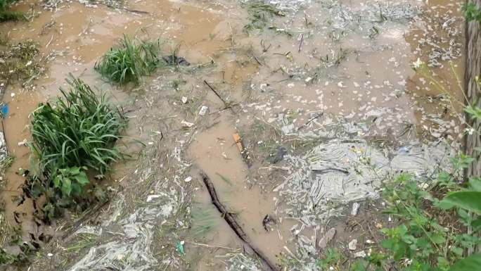 洪水水流垃圾水面垃圾洪水飘浮物河面飘浮物