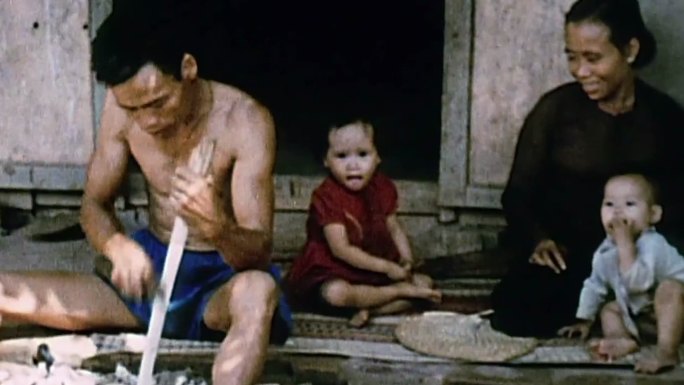 50年代东南亚泰国越南稻田水牛耕地水渠