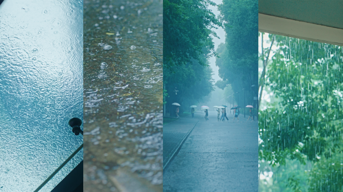 下雨 雨水竖屏 空镜 梅雨 节气  台风