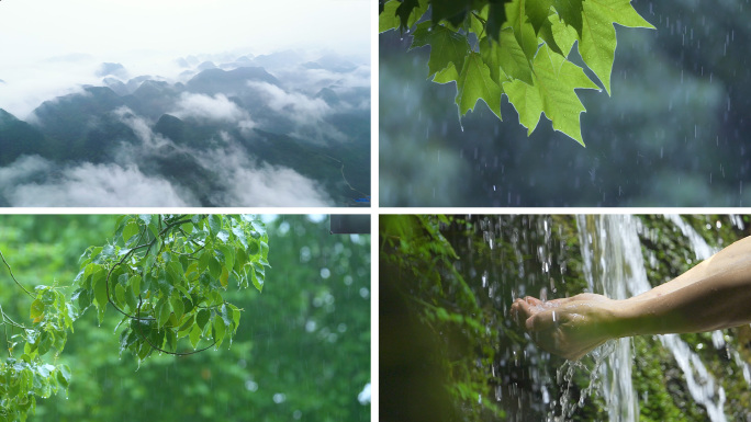 谷雨惊蛰立春雨季自然森林雨水水珠雨林溪流