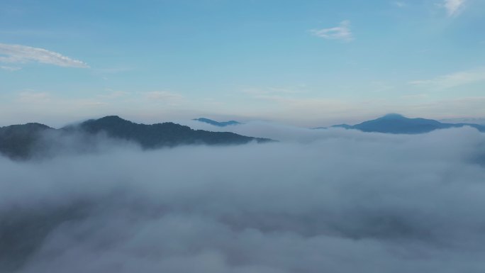 长白山云海航拍朝阳原始森林