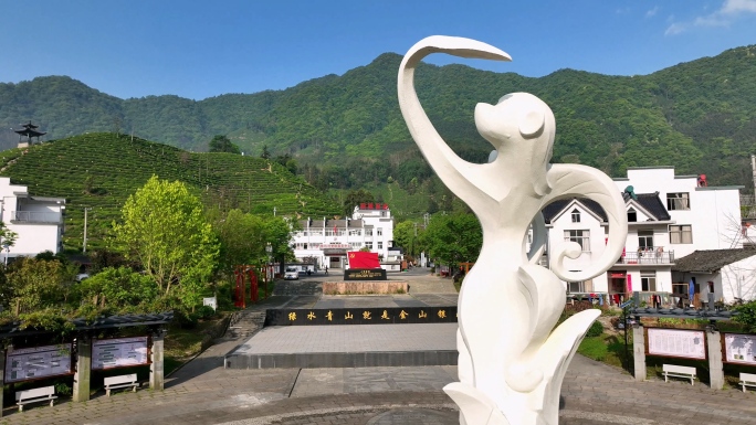 太平猴魁---核心产区猴坑村