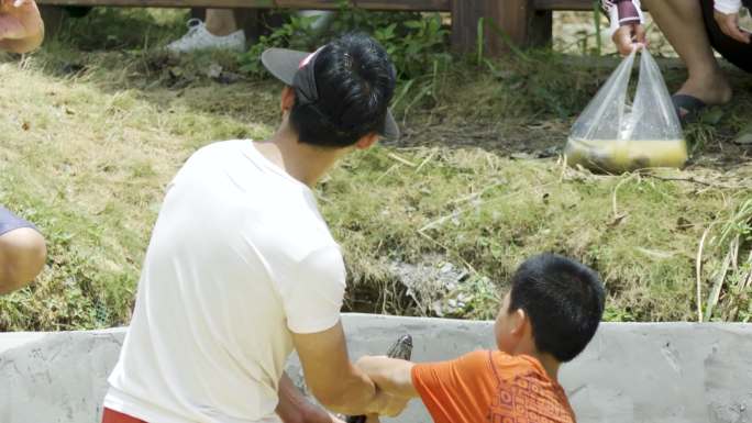 儿童游玩 植物园 玩水抓鱼