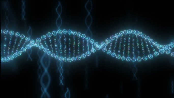 DNA链