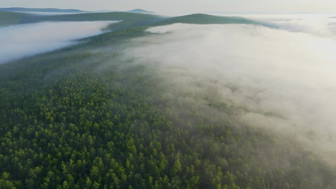 航拍大兴安岭原始森林晨雾美景