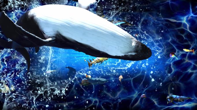 3SHS-天花素材 海底鲸鱼