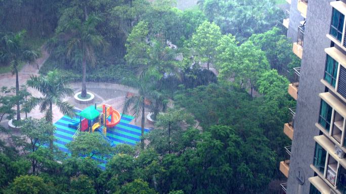 小区下雨   雨打芭蕉  唯美清新雨景