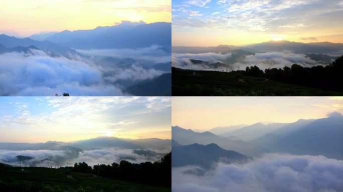 浙江山水早晨日出云雾云海高山茶园茶山