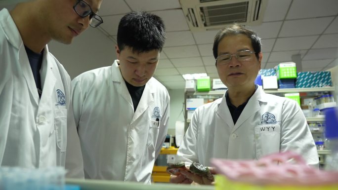 大学海洋生物研究 实验室 专家 科研