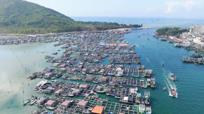 航拍海南陵水新村海上渔村