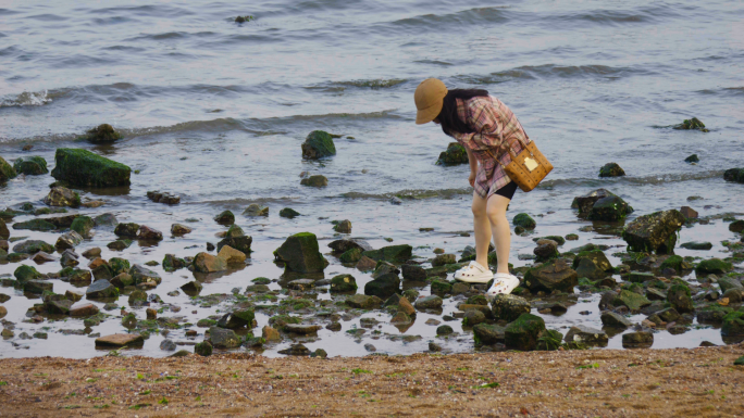 海边 赶海的人 赶海 海边赶海 退潮