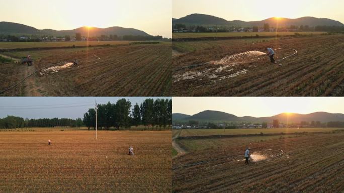 浇地 灌溉 农民在田野劳作