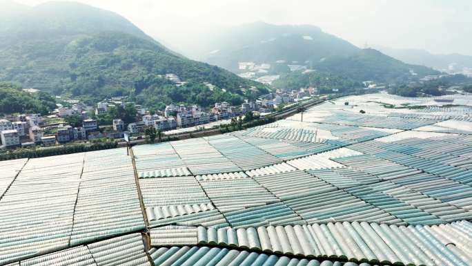 航拍福建农业种植基地